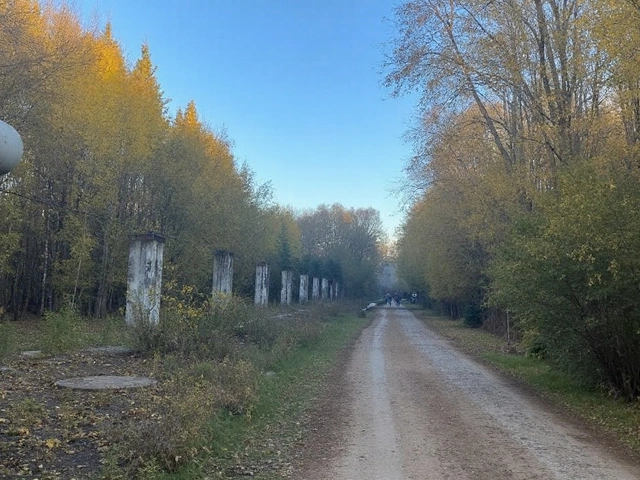 Погода в Якутске: +20 °C в субботу — подробный прогноз
